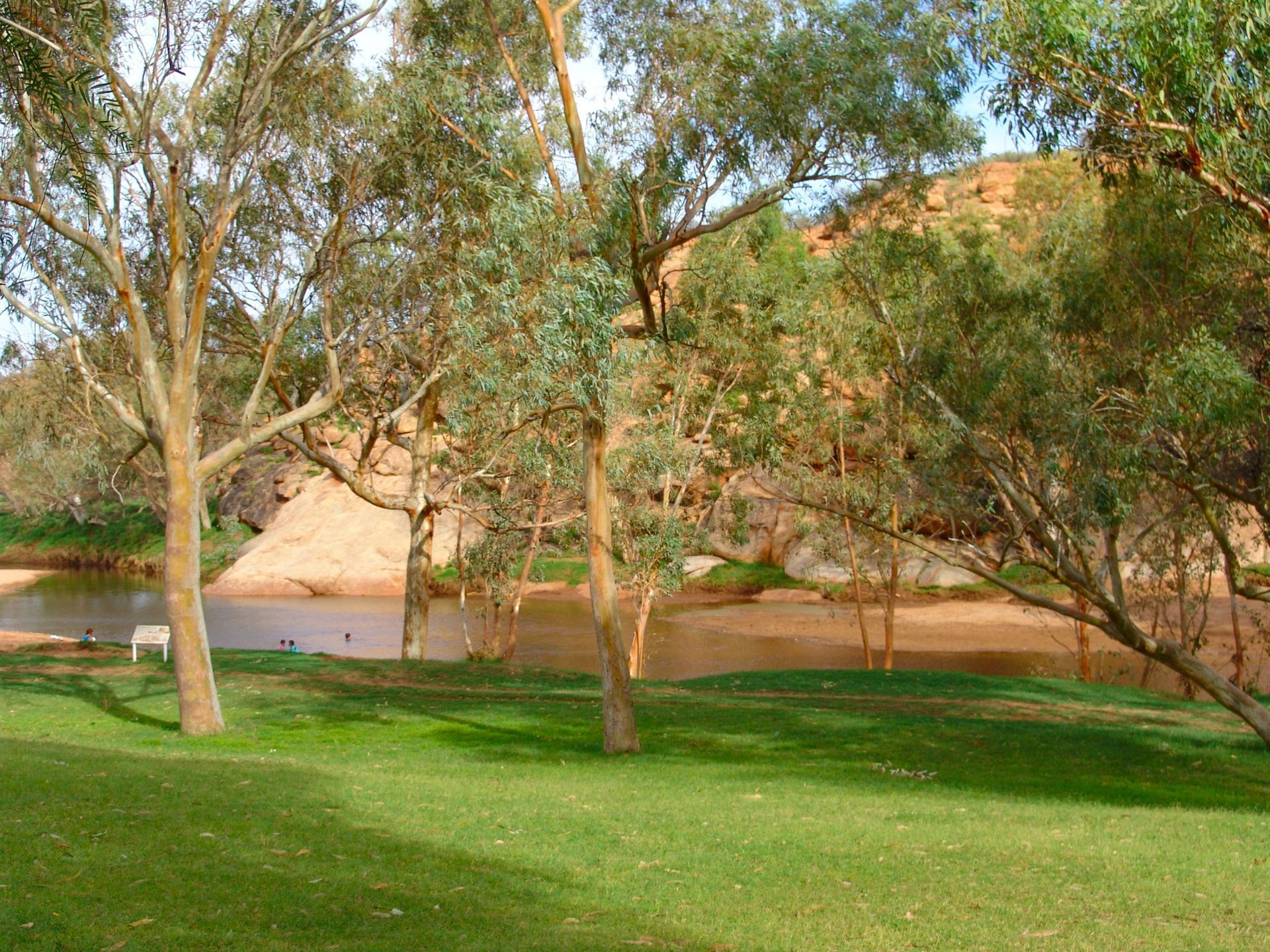 Green grass, trees, and a river in a natural landscape.