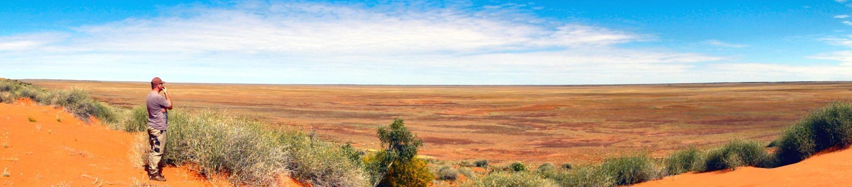 A person stands on a red sandy ridge, looking out at a vast, flat, brown landscape under a blue sky.