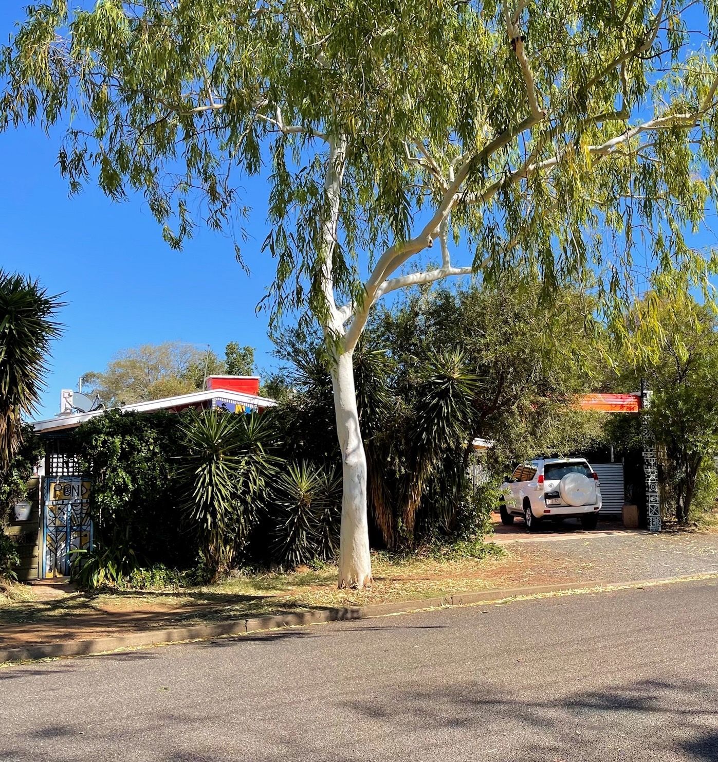 Small house obscured by greenery, white tree trunk in front, parked white car in driveway. Sunny day.