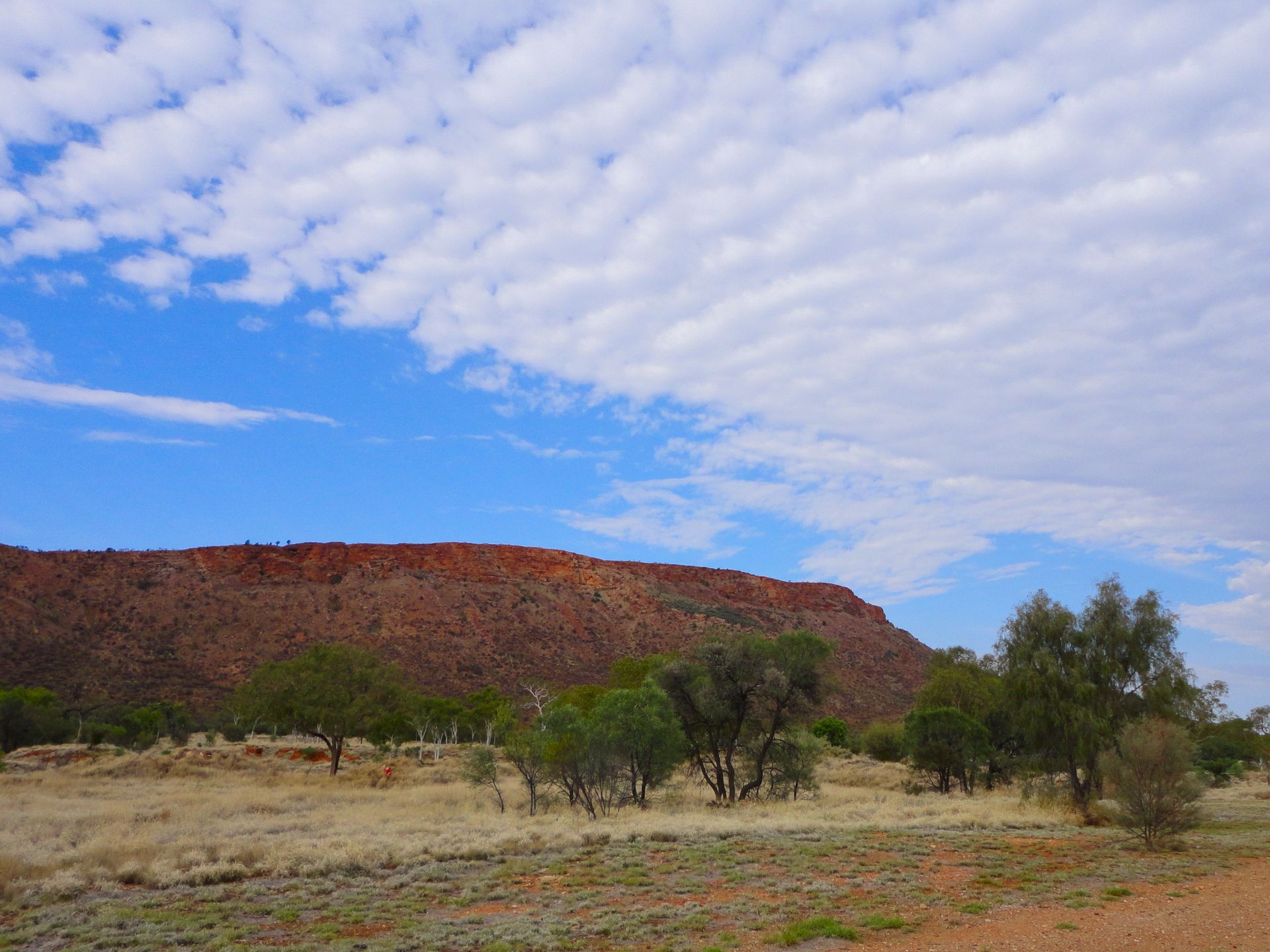 Reddish mountain with blue sky and white clouds, sparse trees in foreground.