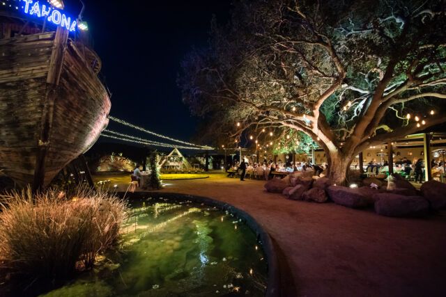 Paseo nocturno por un parque con árboles iluminados, un estanque curvo y un puente resplandeciente al fondo.