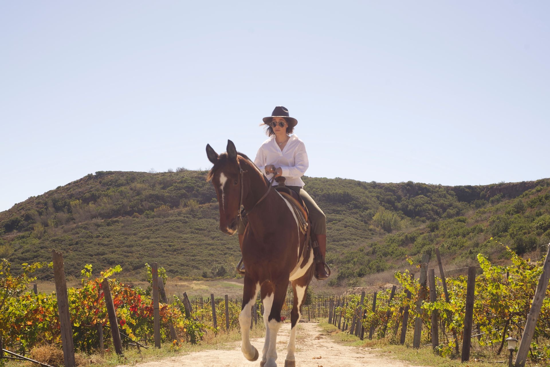 Una persona monta a caballo en un sendero soleado con viñedos y colinas al fondo.