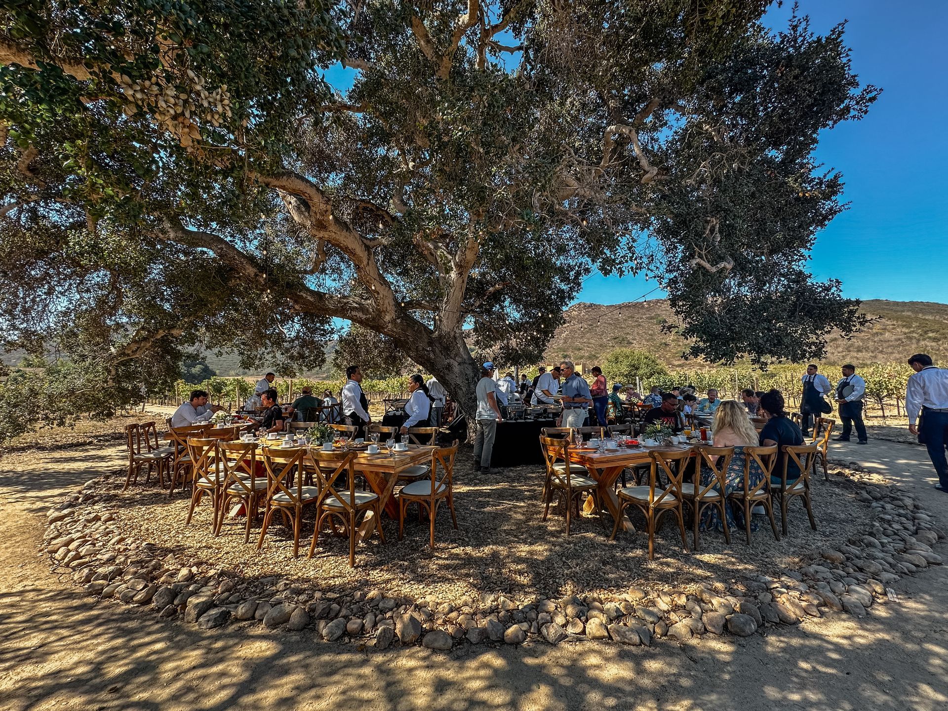 Reunión al aire libre bajo un gran árbol, con gente sentada en mesas en un paisaje soleado y seco.