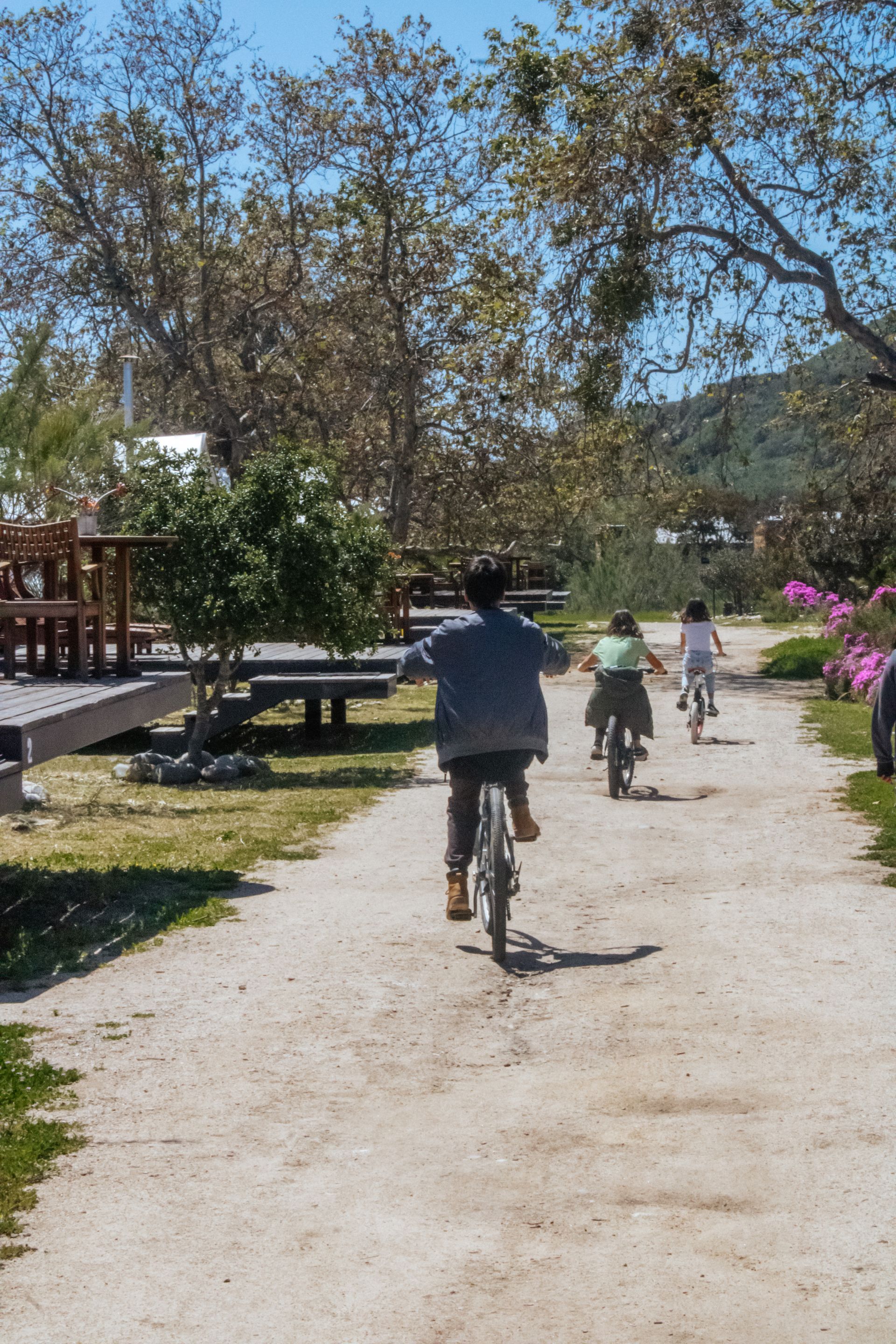 Gente montando en bicicleta por un sendero de grava iluminado por el sol, junto a árboles y una casa.