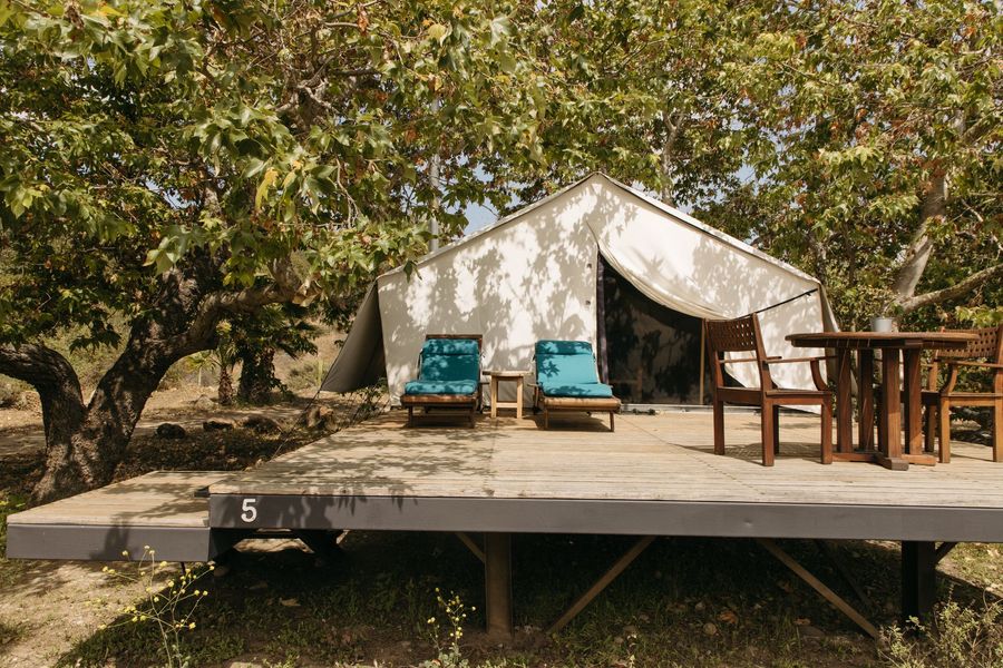 Tienda de safari con dos sillas azules y una mesa de madera sobre una plataforma elevada bajo los árboles.