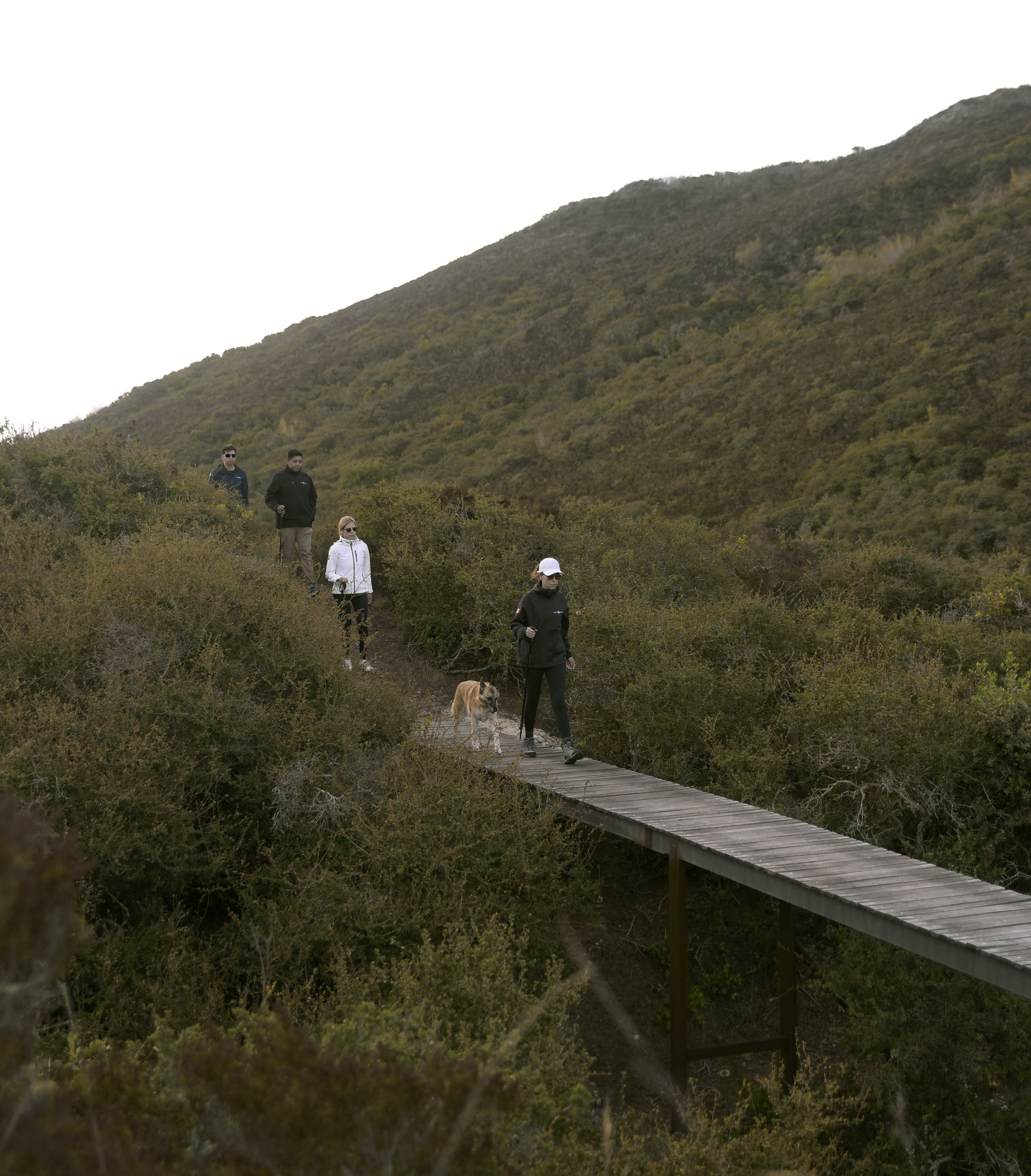 Gente caminando por una estrecha pasarela de madera a través de una ladera cubierta de hierba bajo un cielo nublado.