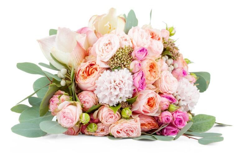 Bouquet of pink and white roses with greenery on a white background