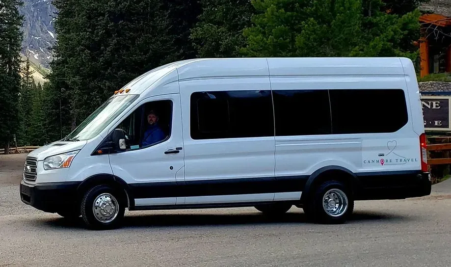 White passenger van parked on a road with tall trees in the background