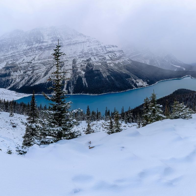 Snow-covered mountains and a turquoise lake under a cloudy sky, with pine trees in the foreground