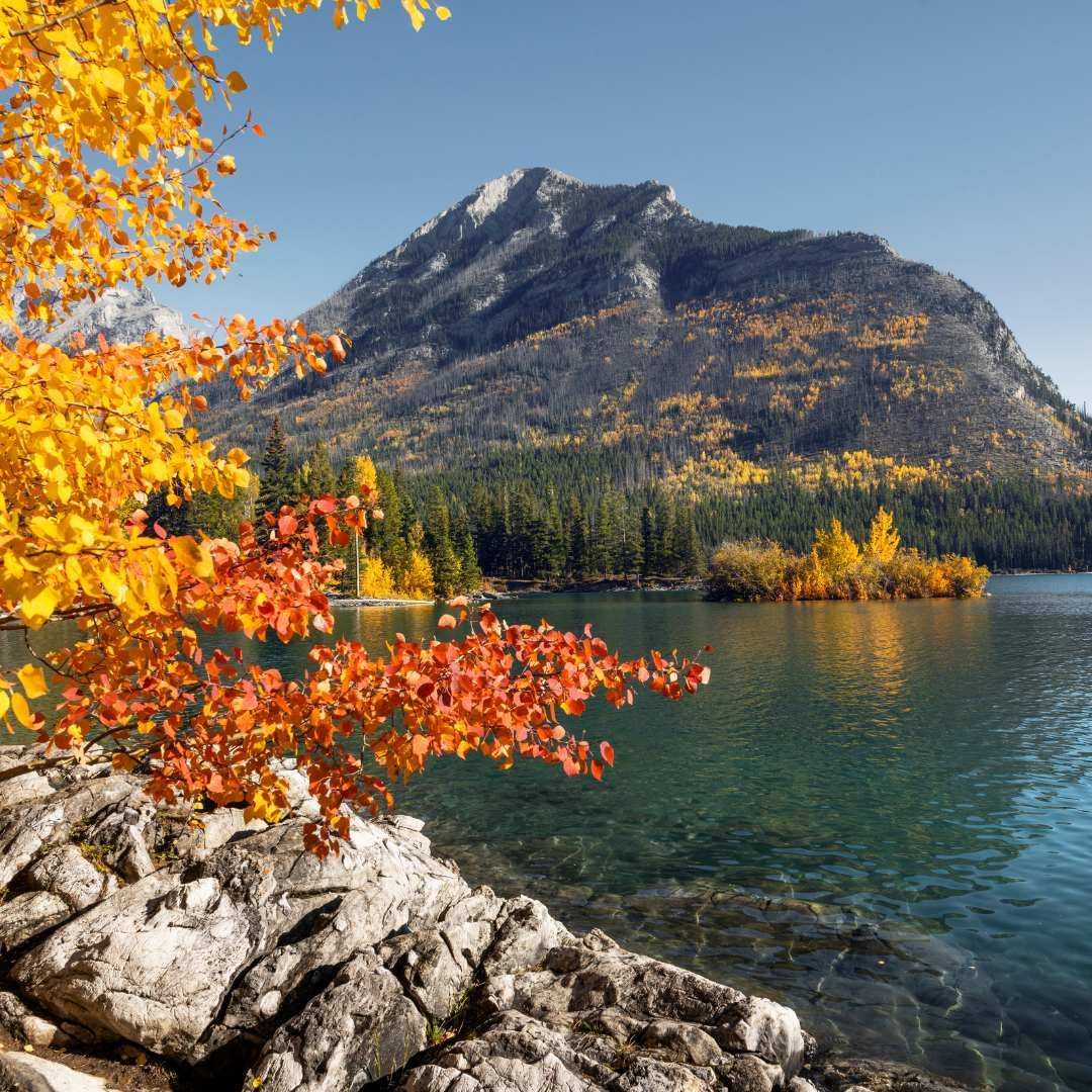 Autumn leaves beside a clear blue lake with a rocky mountain under a bright sky
