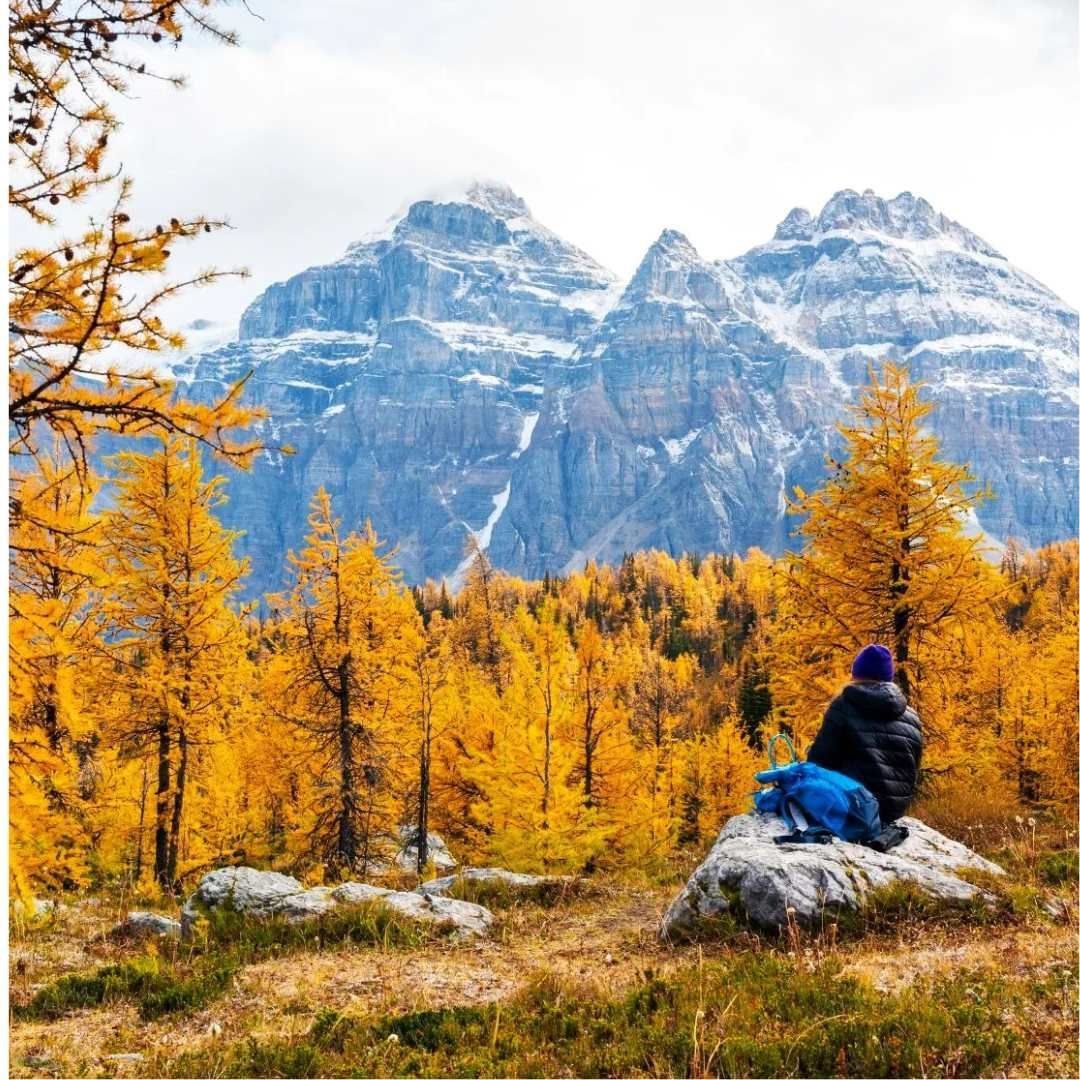 Person sitting on a rock in a golden autumn forest beneath snowy mountains
