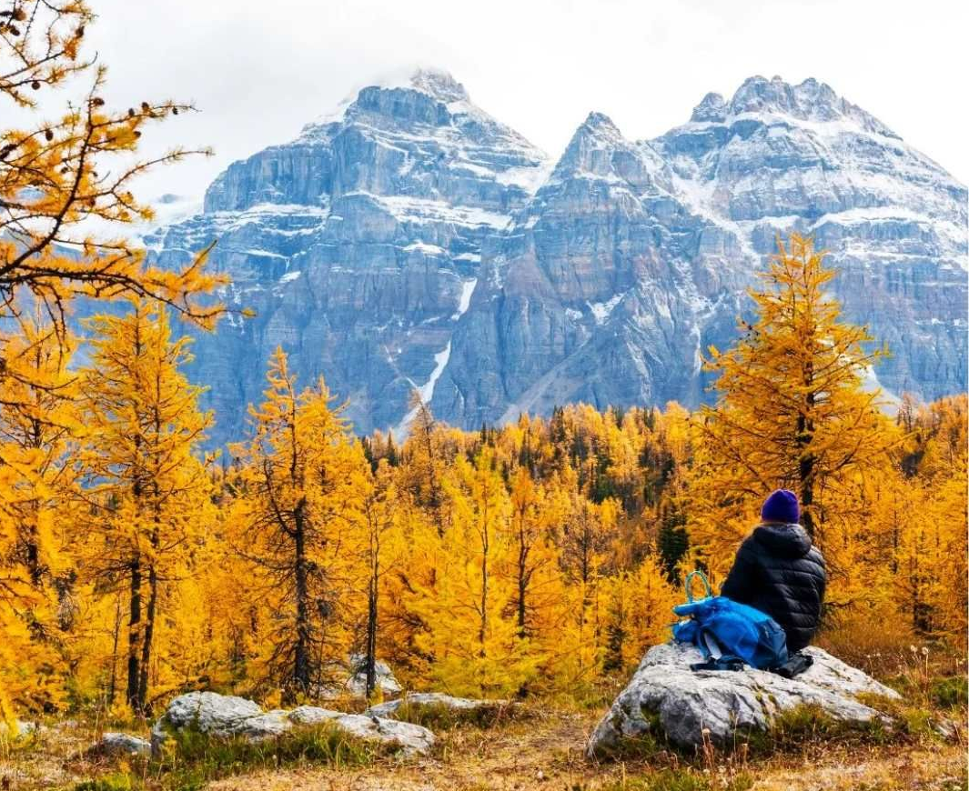 Person in blue jacket overlooking golden autumn trees and snowy mountains under a bright sky