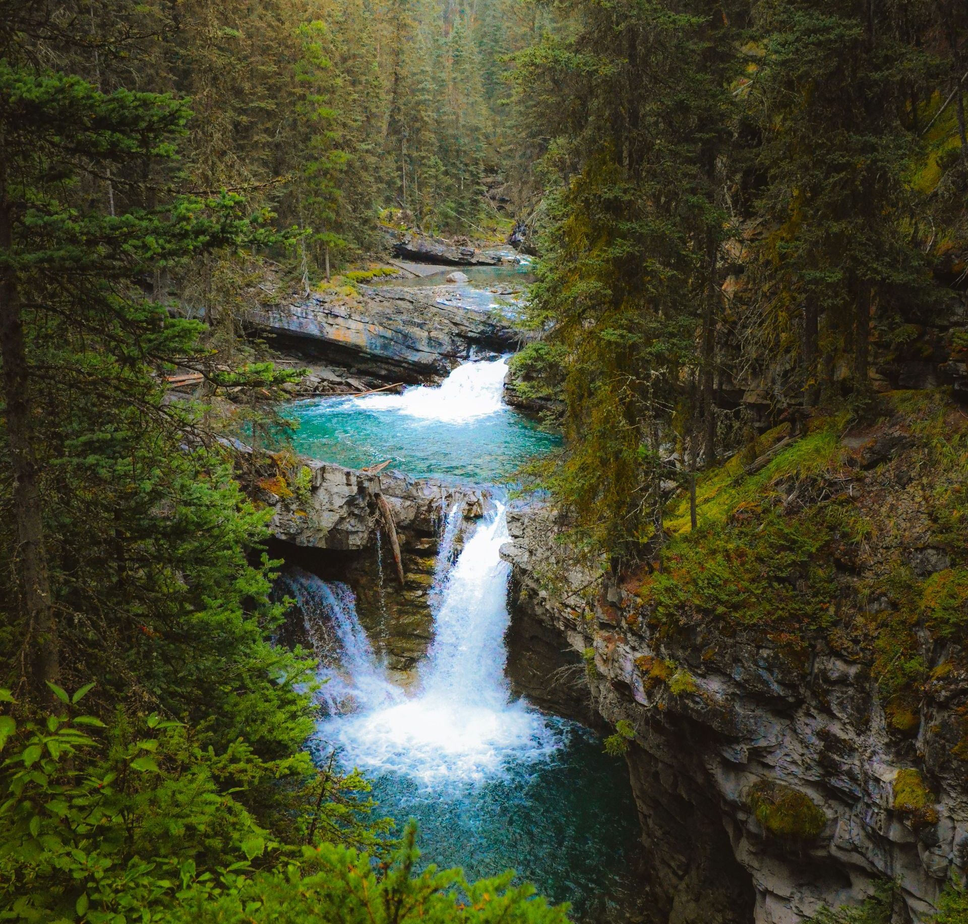 Forest waterfall cascading into a turquoise pool in a rocky ravine