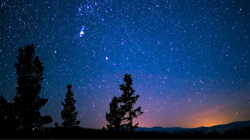 Starry night sky over silhouetted trees and mountains with a purple-blue horizon glow