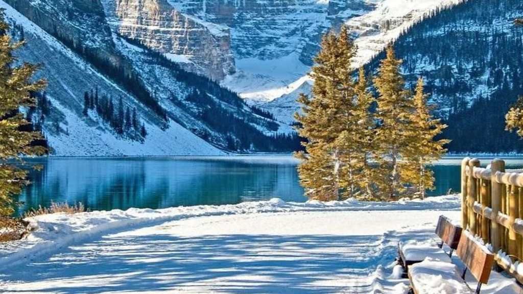 Snowy mountain lake with turquoise water, golden trees, and a wooden bench in the foreground