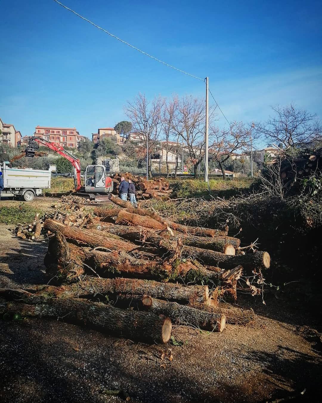 Tronchi ammucchiati a terra; escavatore e camion sullo sfondo.