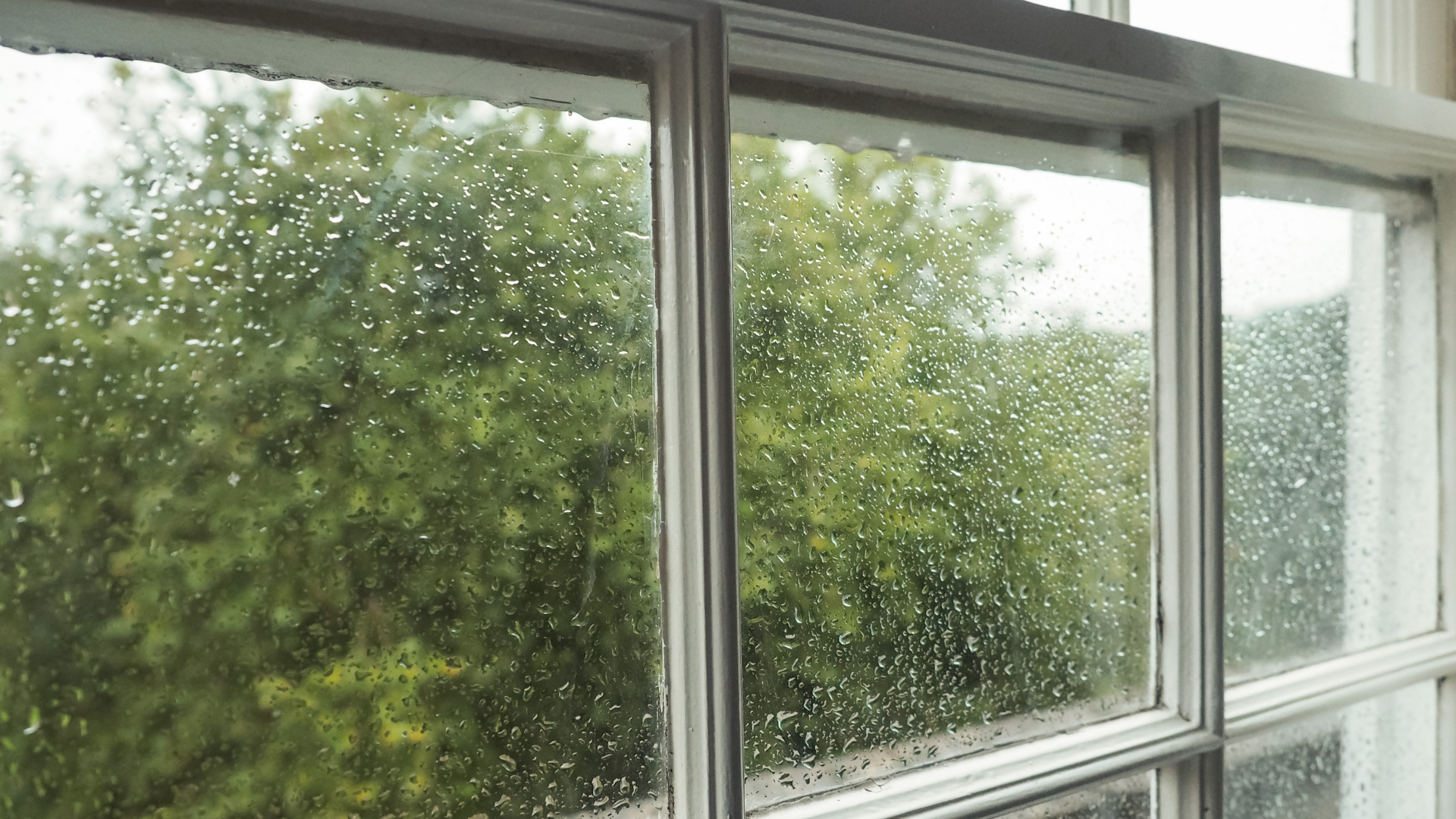 A man is cleaning a window with a squeegee.