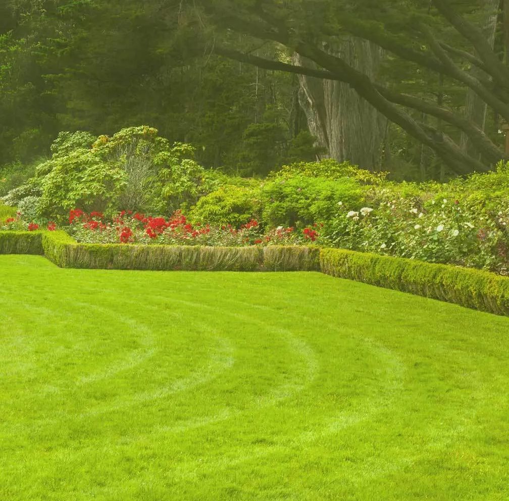 lawn mowing services in backyard