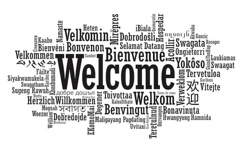 language assistance