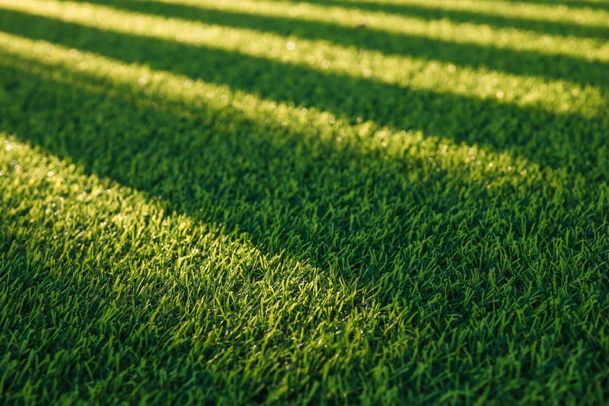 Window Tint for Artificial Turf