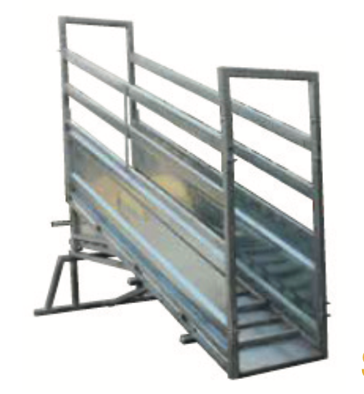 A metal livestock loading ramp with side railings and a stepped floor, set against a plain white background.