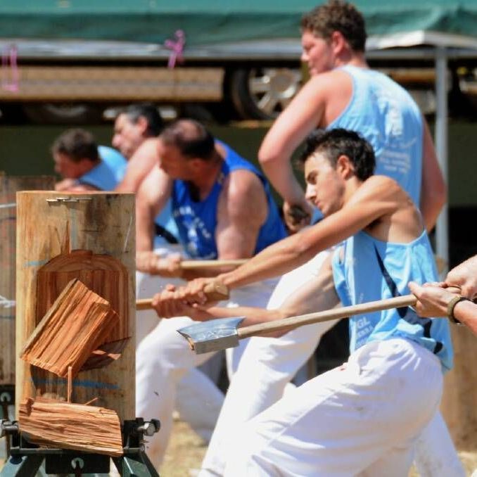 A group of men in blue tank tops are chopping wood