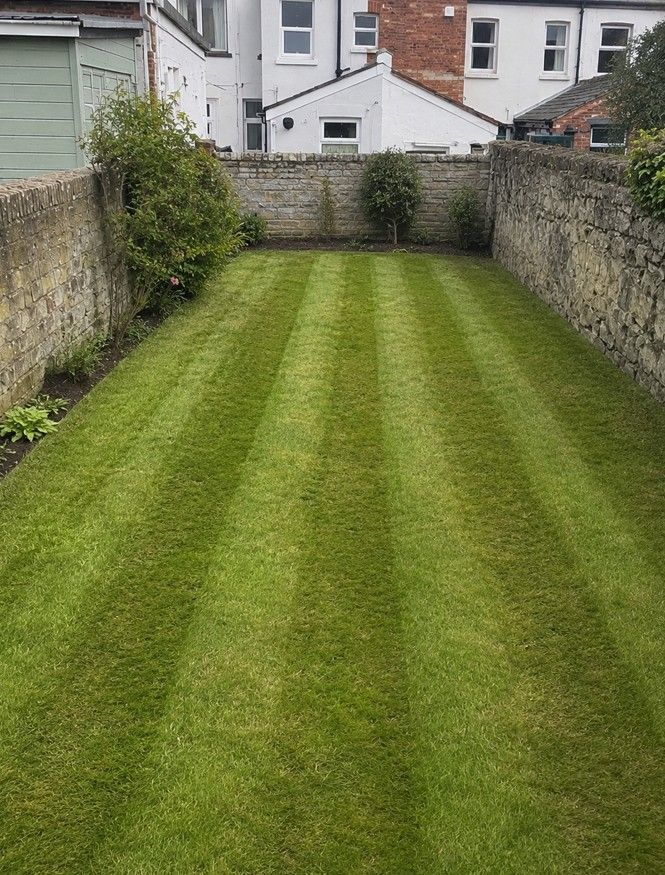 J&Z Property Maintenance maintaining a Cardiff lawn on a regular contract