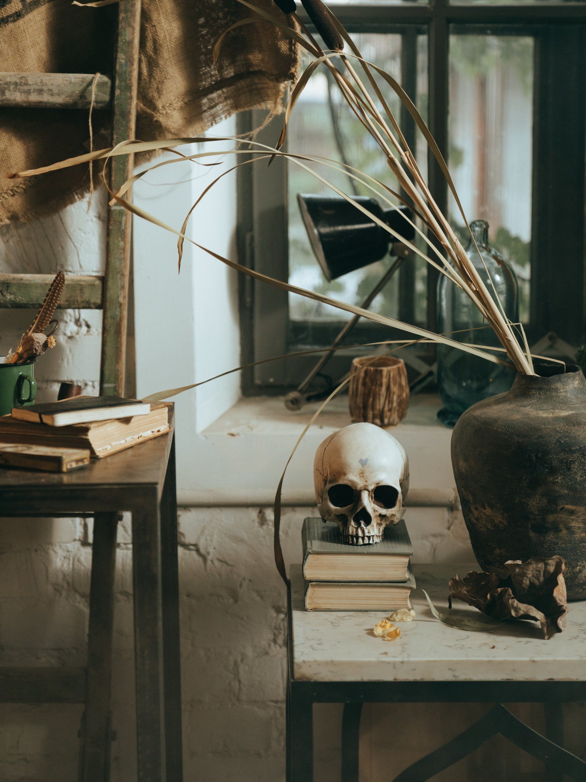 A skull is sitting on top of a stack of books on a table.