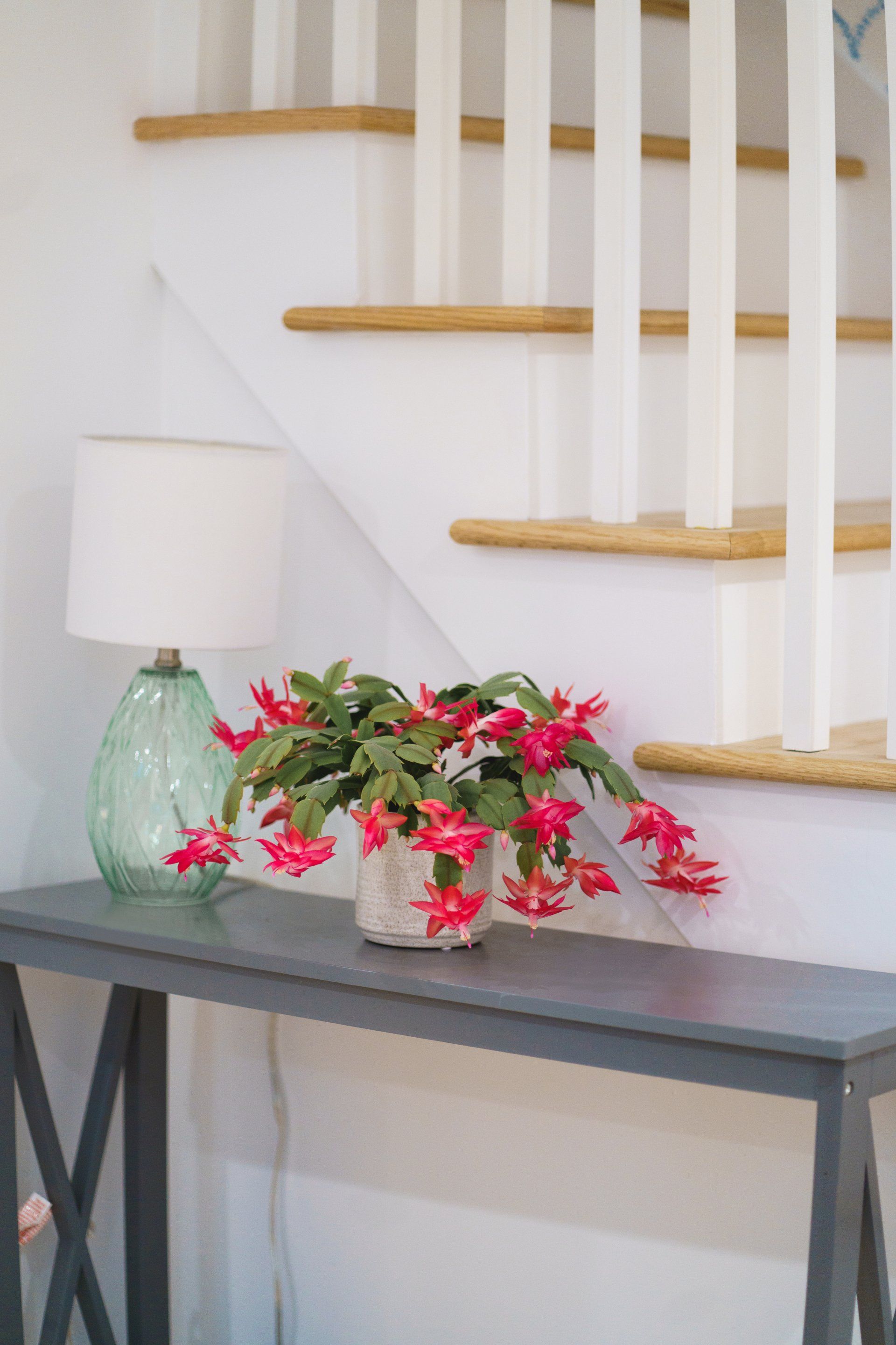 Liberty_Homes_Basement_Newton_12