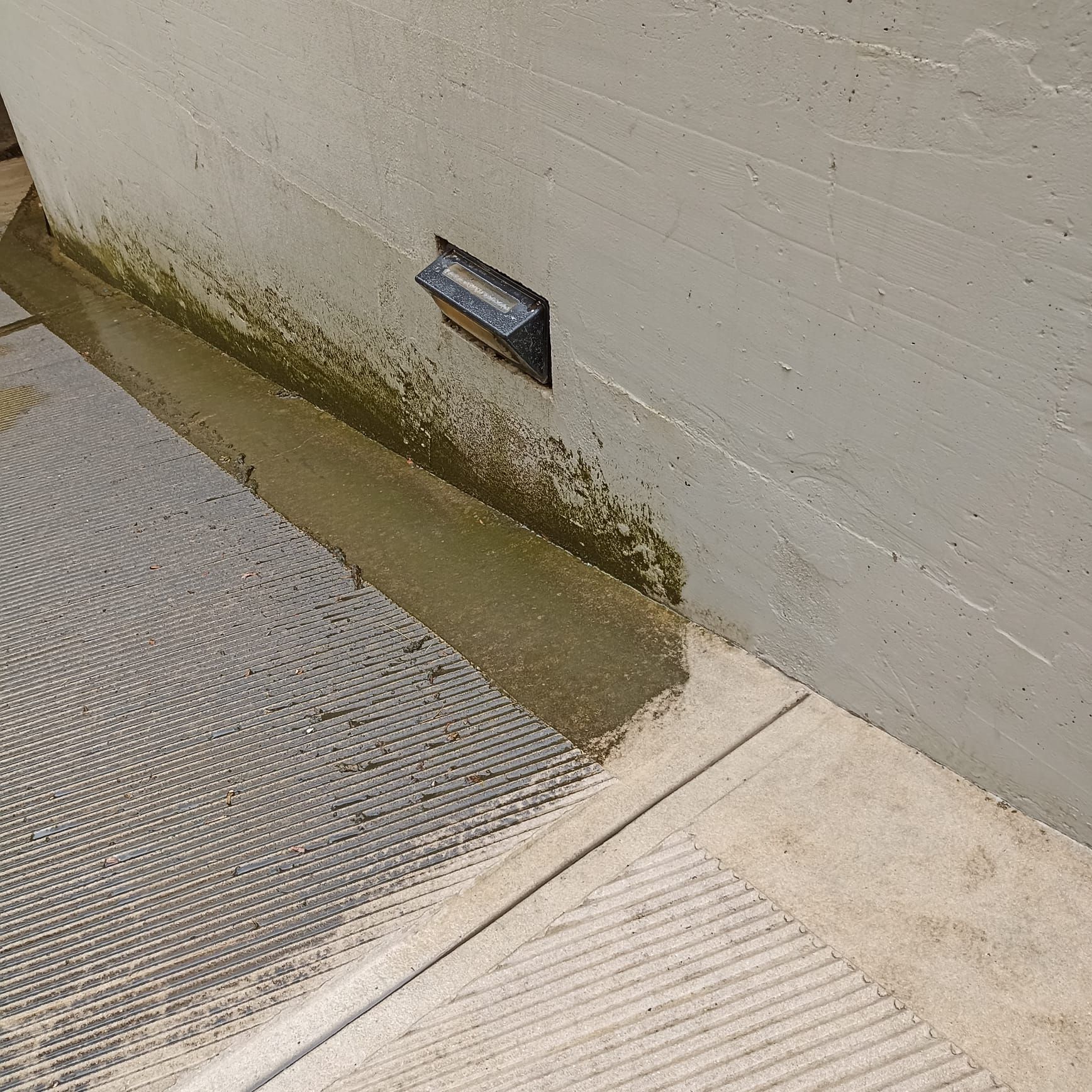 Un muro di cemento grigio incontra una superficie pavimentata, con accumuli di alghe alla base, vicino a un apparecchio di illuminazione esterna incassato.