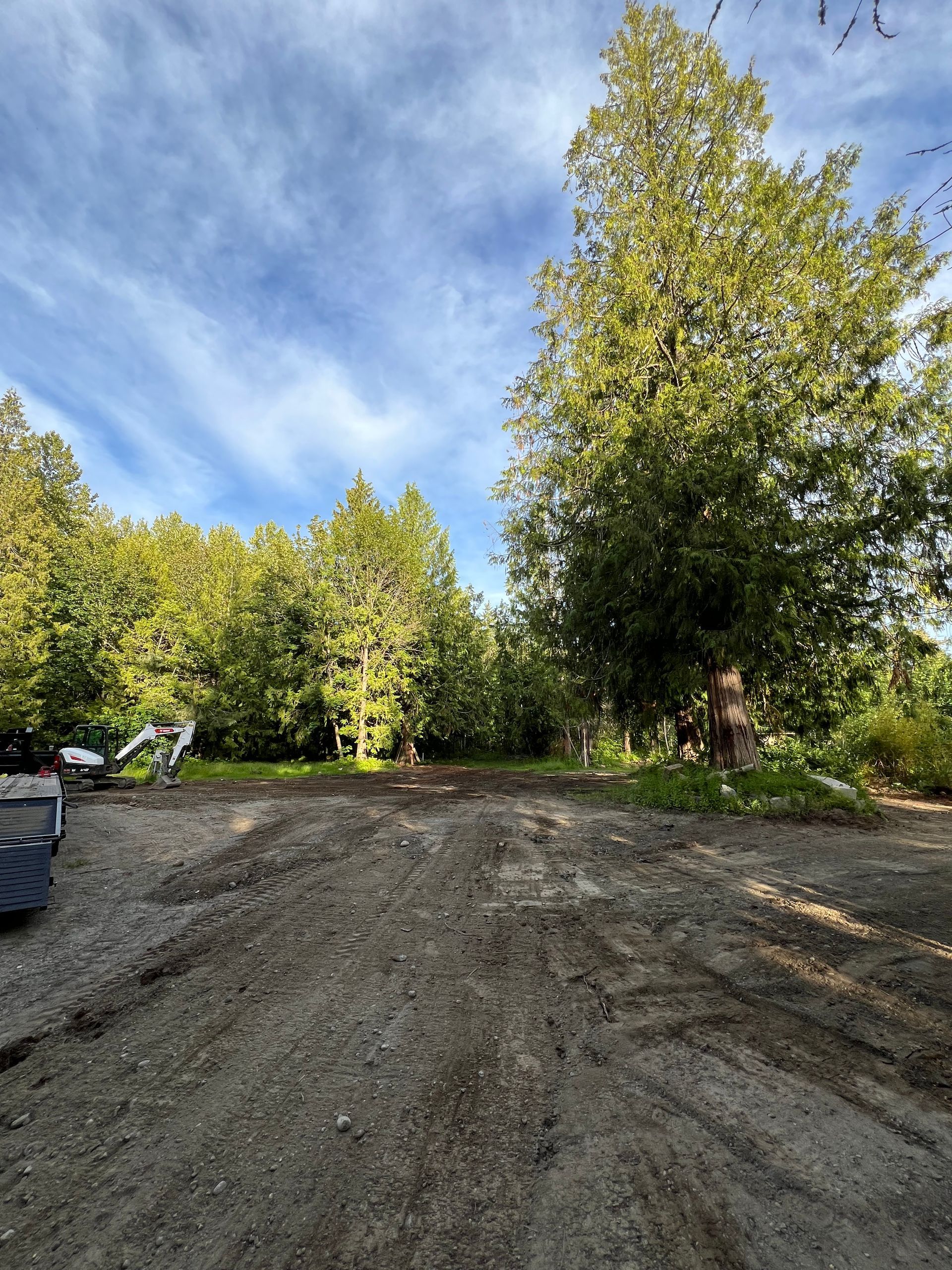 Land+clearing
