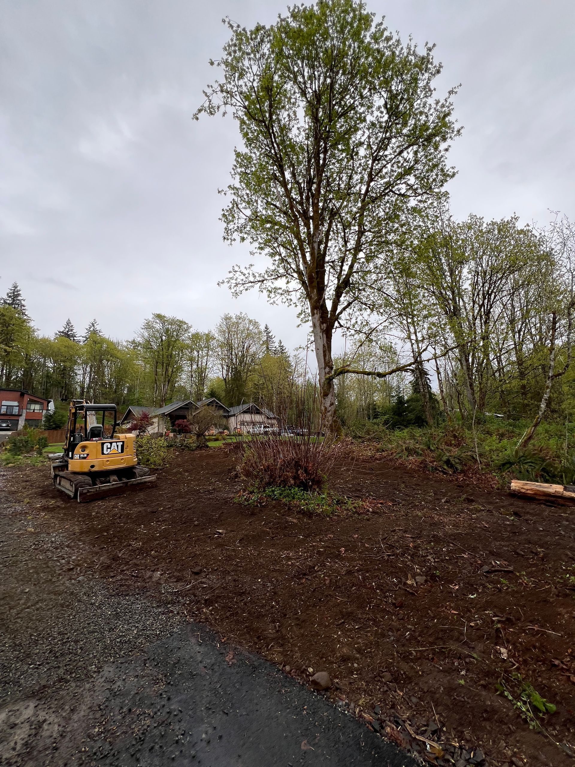 Land+clearing