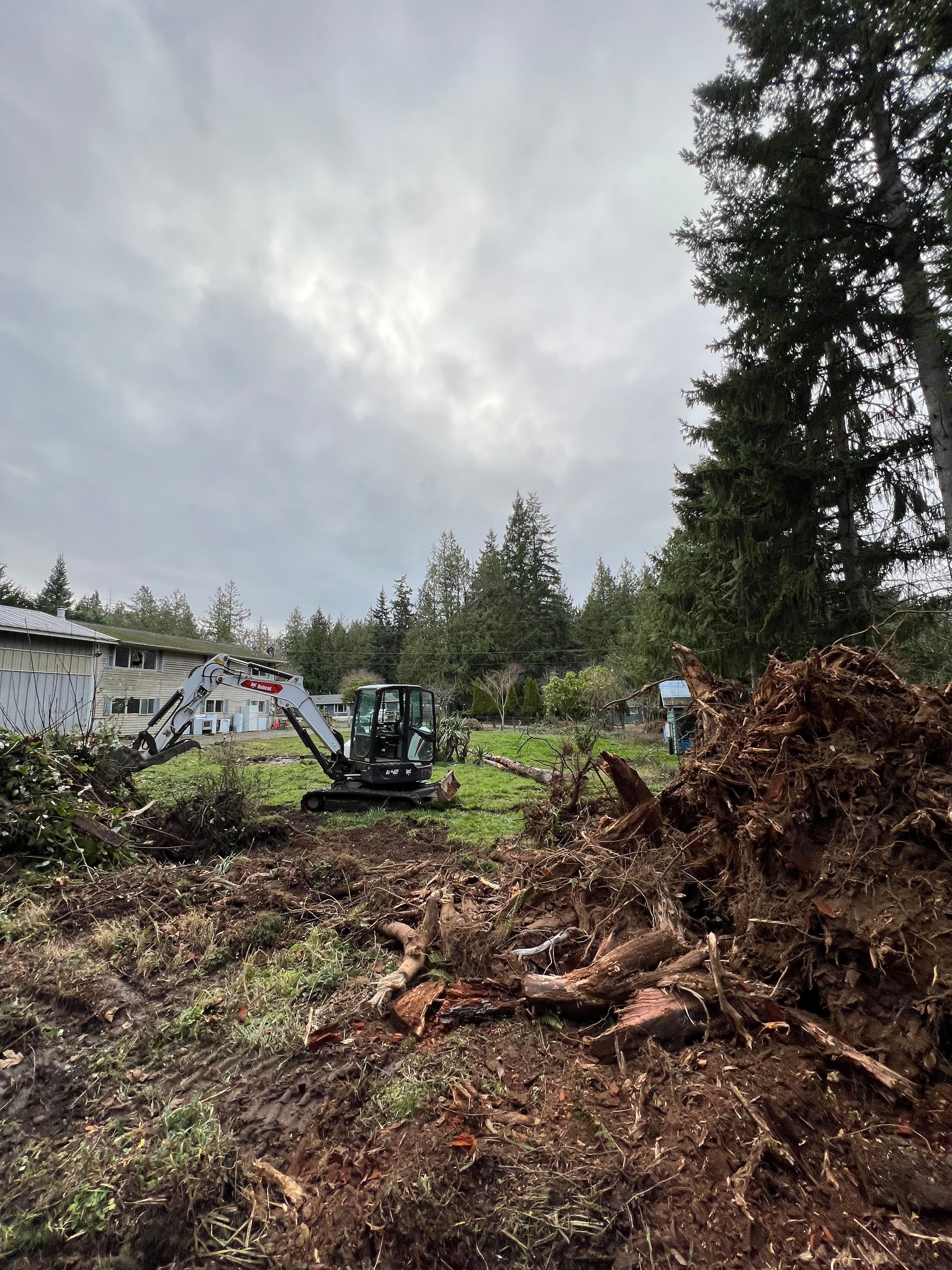 Land+clearing