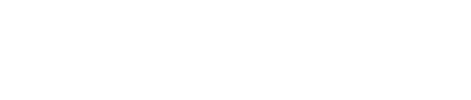 Logo | AutoHaus of Boulder