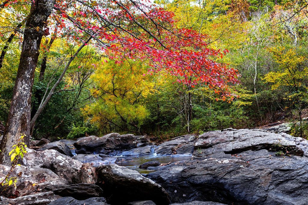 Creek surrounded by fall foliage in Hot Springs Arkansas