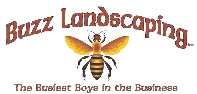 Buzz Landscaping Buzz Landscaping
