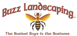 Buzz Landscaping Buzz Landscaping
