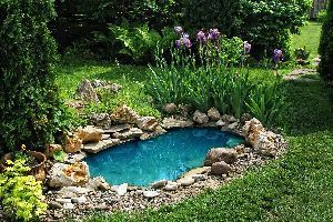 A small pond surrounded by rocks and flowers in a garden.