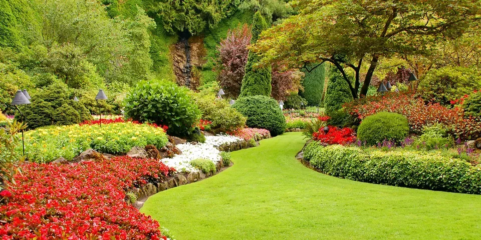 A lush green garden filled with lots of flowers and trees.