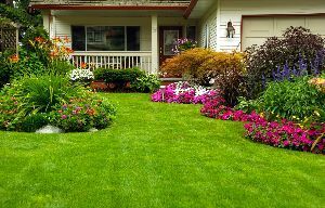 A house with a lush green lawn and flowers in front of it.