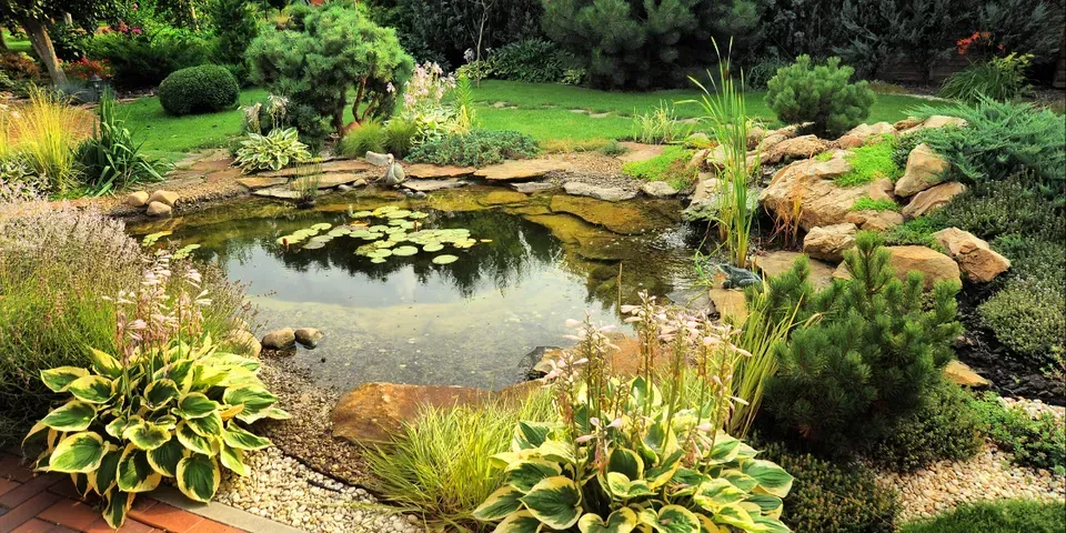 A small pond in the middle of a garden surrounded by plants and rocks.