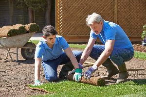 A man and a boy are working on a lawn.