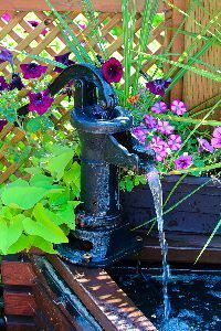 A water fountain in a garden with purple flowers and green plants.