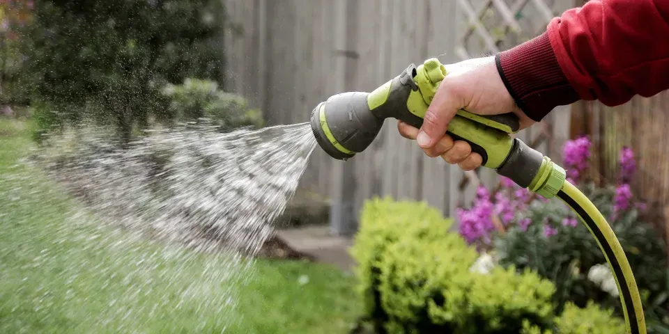 A person is watering a garden with a hose.