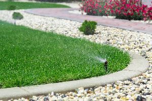 A lawn sprinkler is spraying water on a lush green lawn.