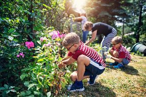 A family is picking flowers in a garden.