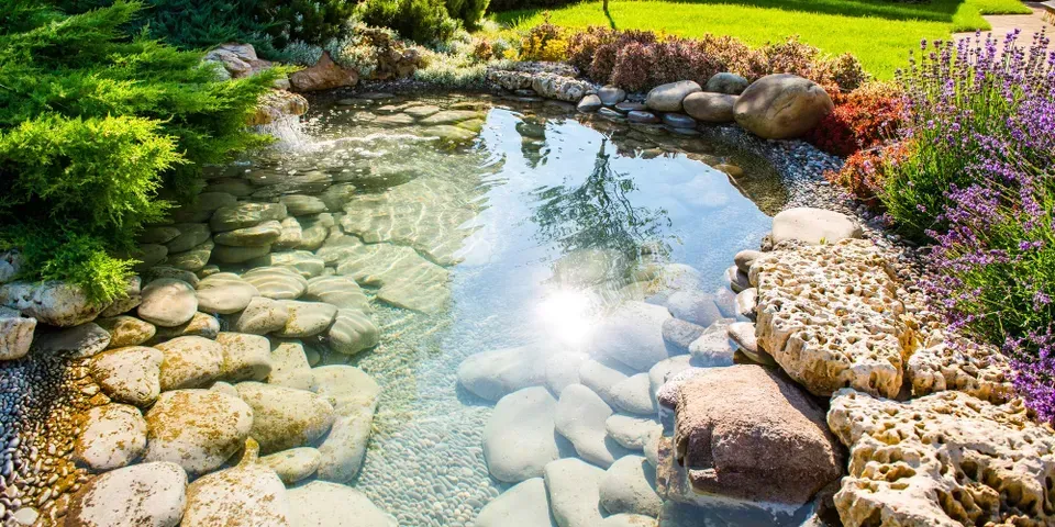 A pond surrounded by rocks and flowers in a garden.
