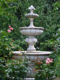 A fountain is surrounded by roses and trees in a garden.