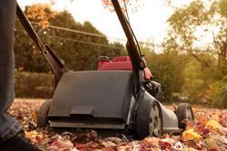 A person is using a lawn mower to remove leaves from the ground.