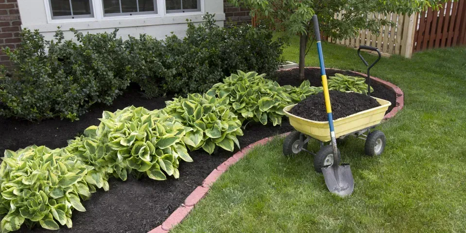 A wheelbarrow filled with dirt next to a shovel in a garden.